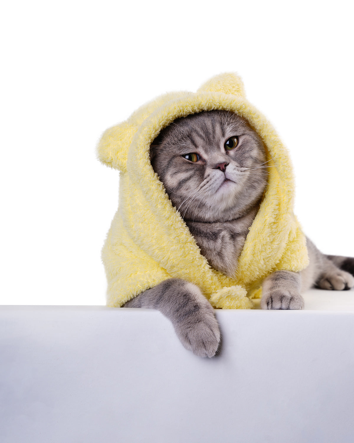 Baby Chick Cat Bathrobe