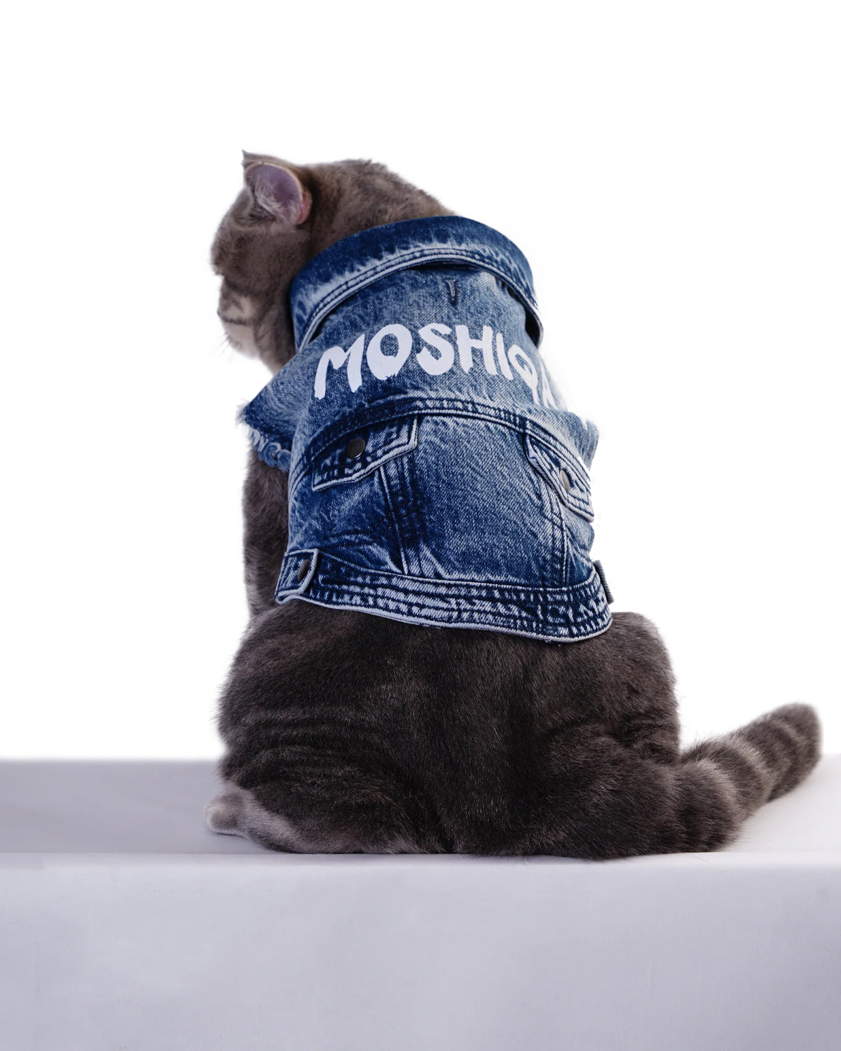 Moshiqa Denim Cat
