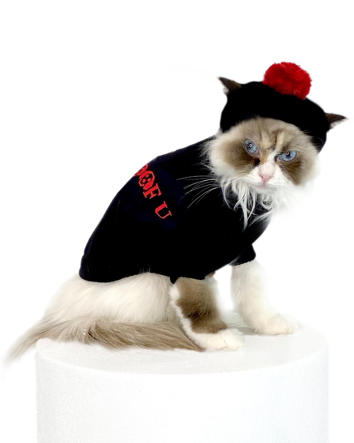 I Woof U Cat Sweater
