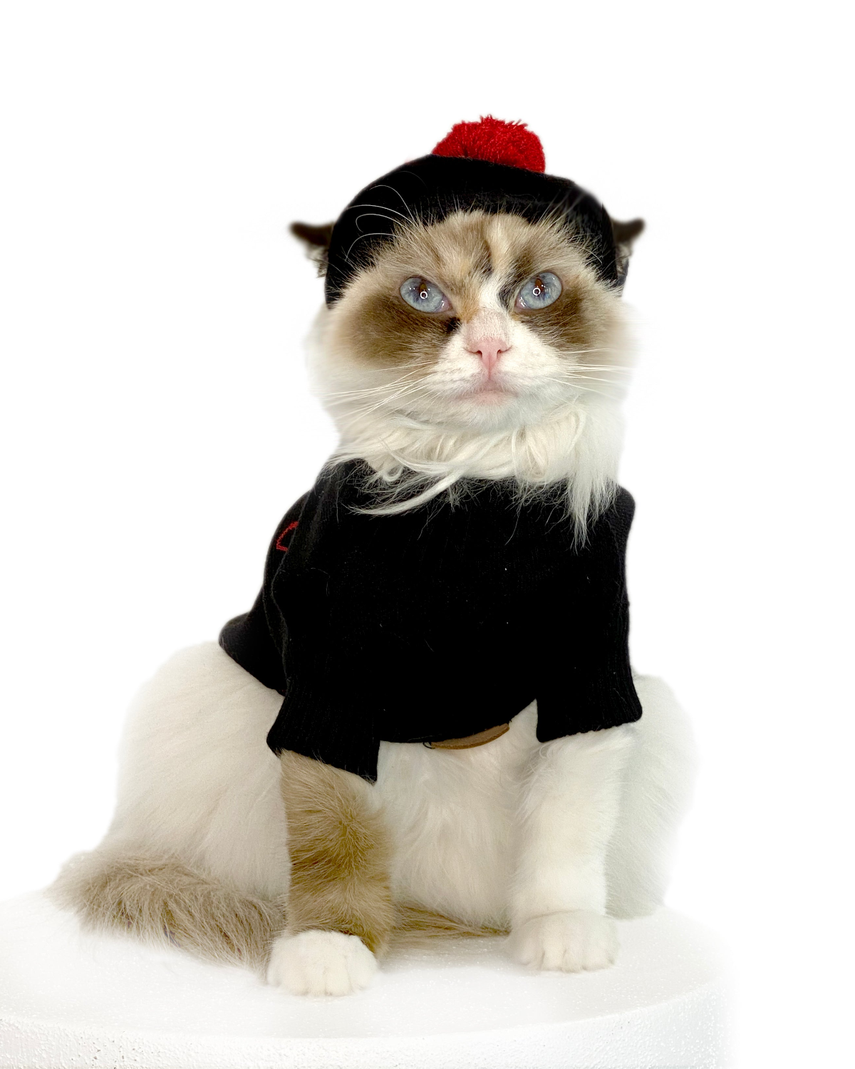 I Woof U Cat Sweater