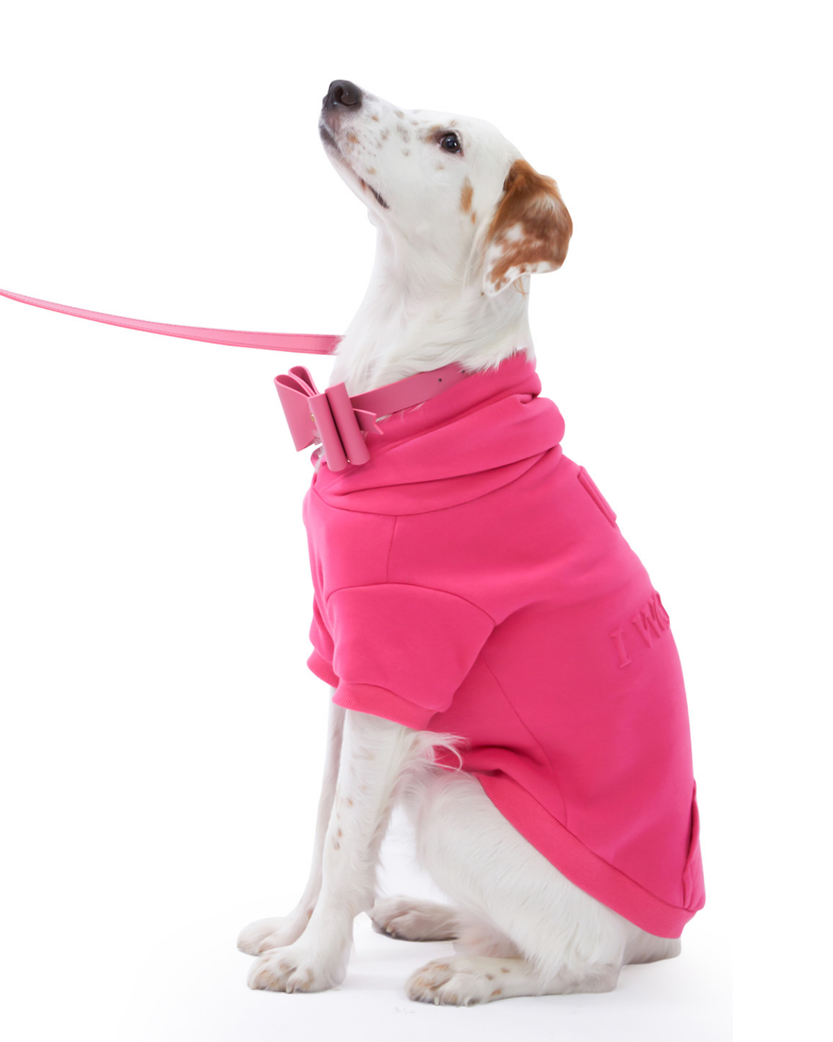 I Woof U Dog Hoodie
