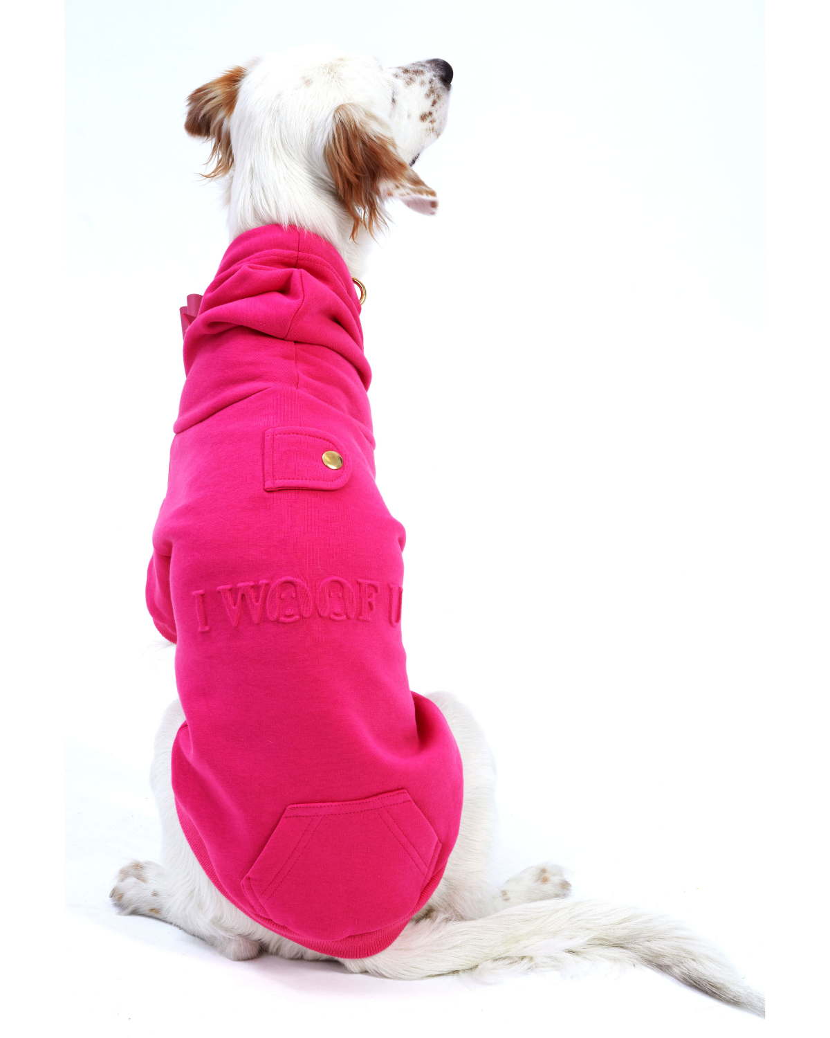 I Woof U Dog Hoodie
