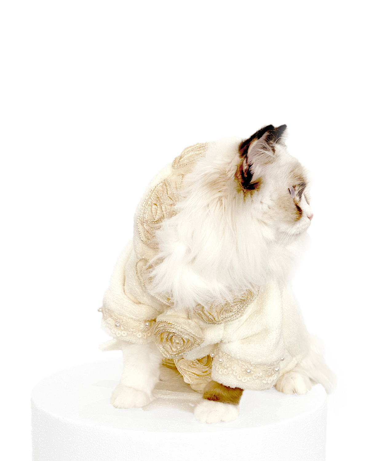 Juliet Cat Bathrobe