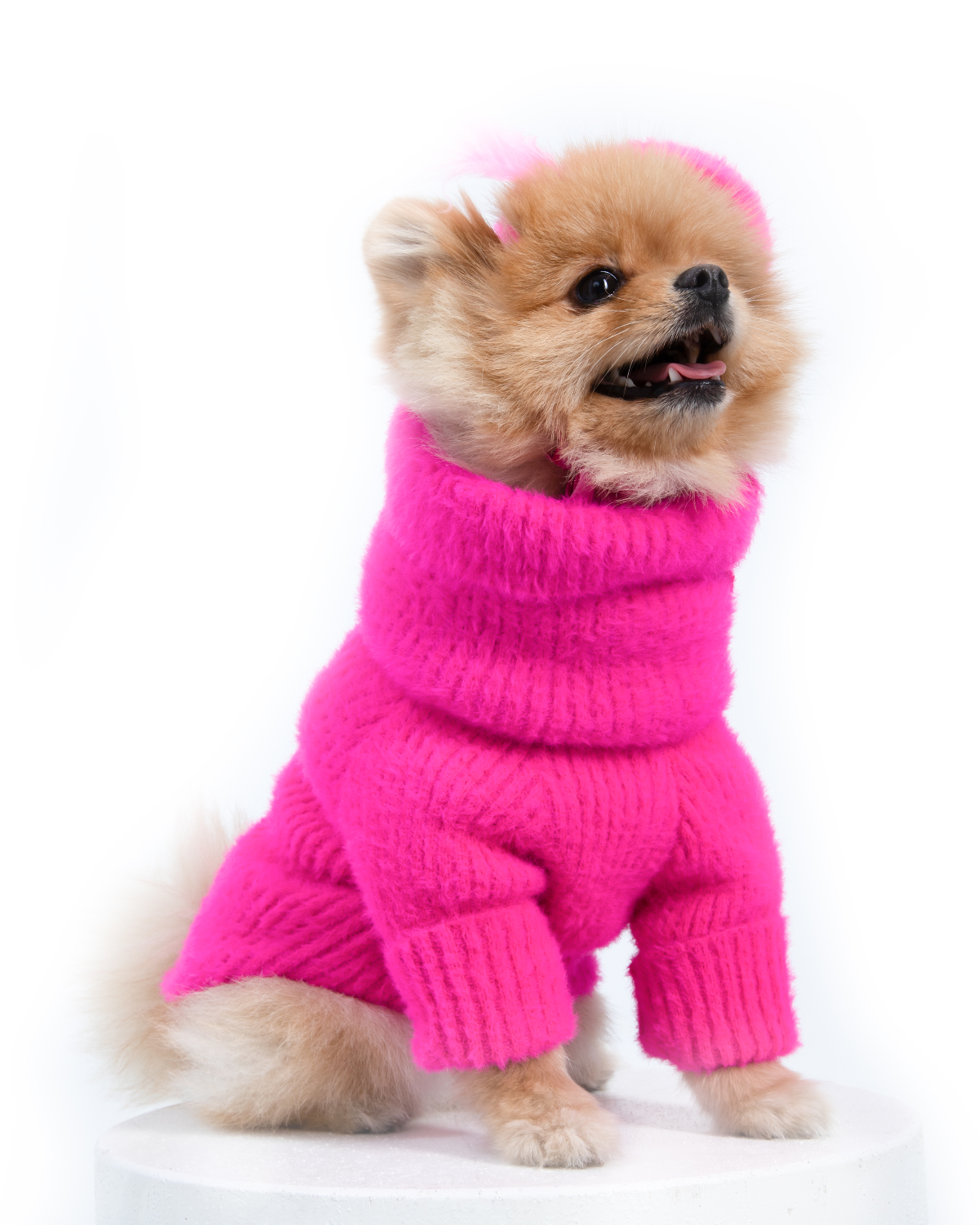 Loves It Dog Sweater & Hat