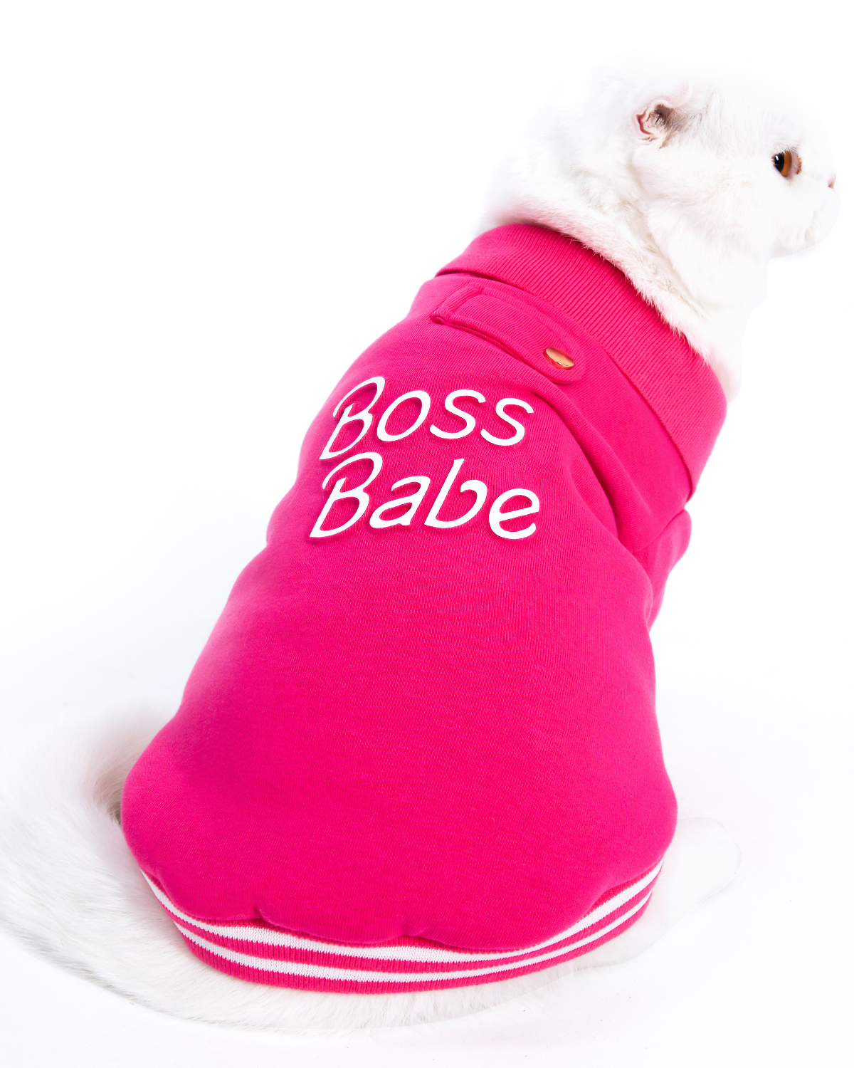 Boss Babe Cat Sweatshirt