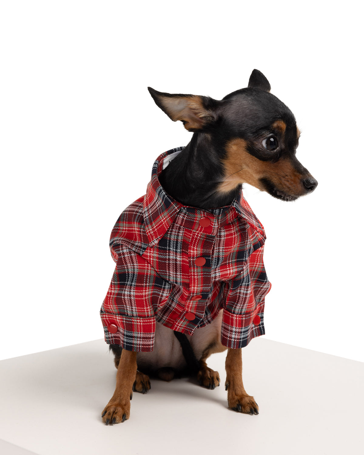 Johnny Dog Shirt